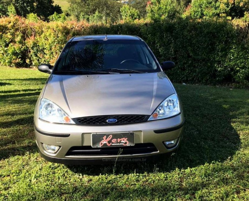 focus 1.6 gl 16v flex 4p manual 2009 bom principio