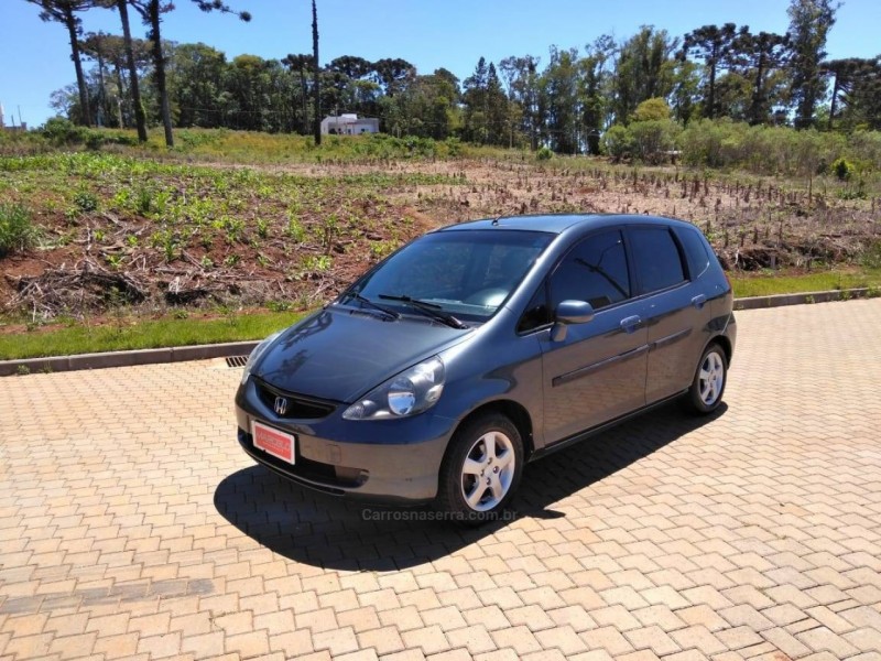 fit 1.4 lxl 16v flex 4p automatico 2004 guapore