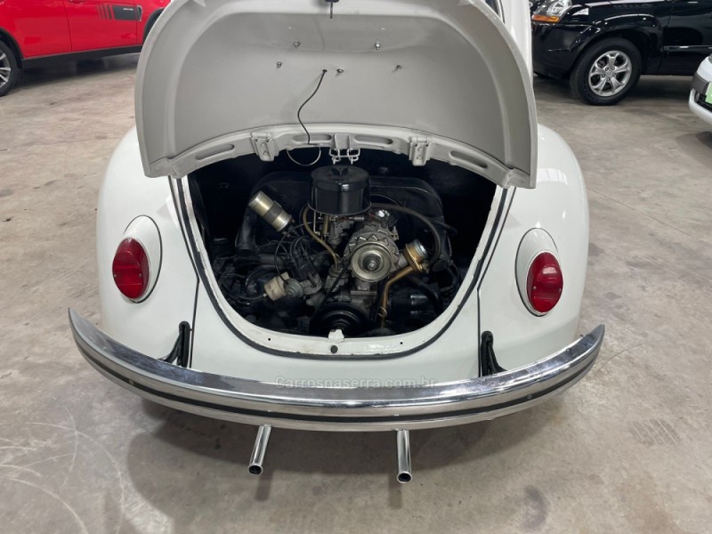 FUSCA 1.3 8V GASOLINA 2P MANUAL - 1981 - VACARIA