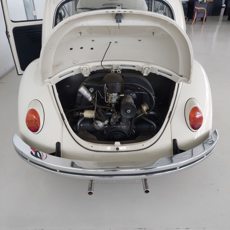 FUSCA 1.3 8V GASOLINA 2P MANUAL - 1974 - FELIZ