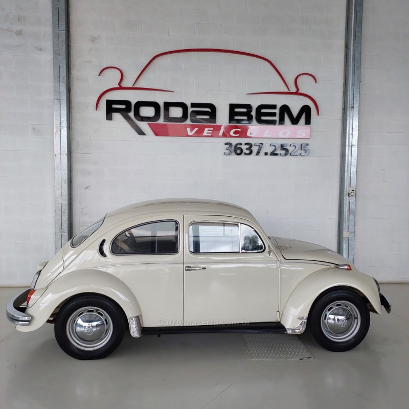 FUSCA 1.3 8V GASOLINA 2P MANUAL - 1974 - FELIZ