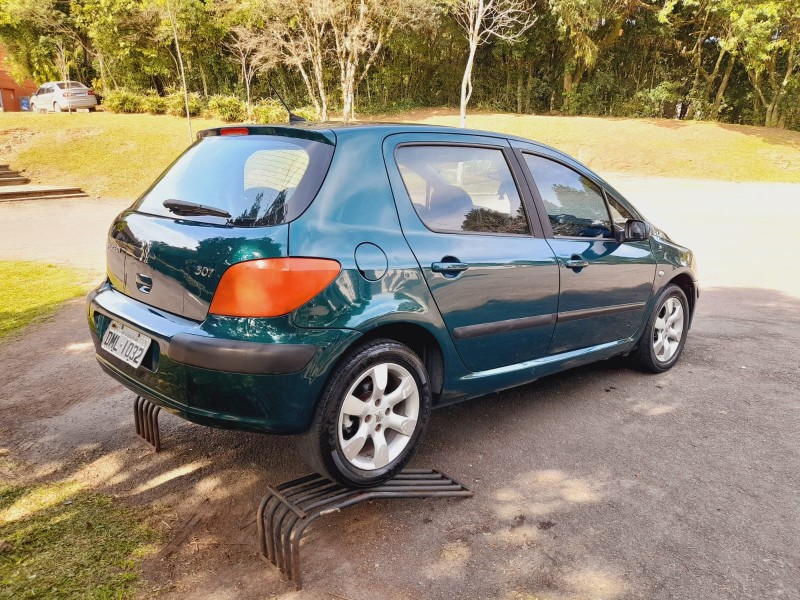 307 1.6 PASSION 16V GASOLINA 4P MANUAL - 2003 - FARROUPILHA