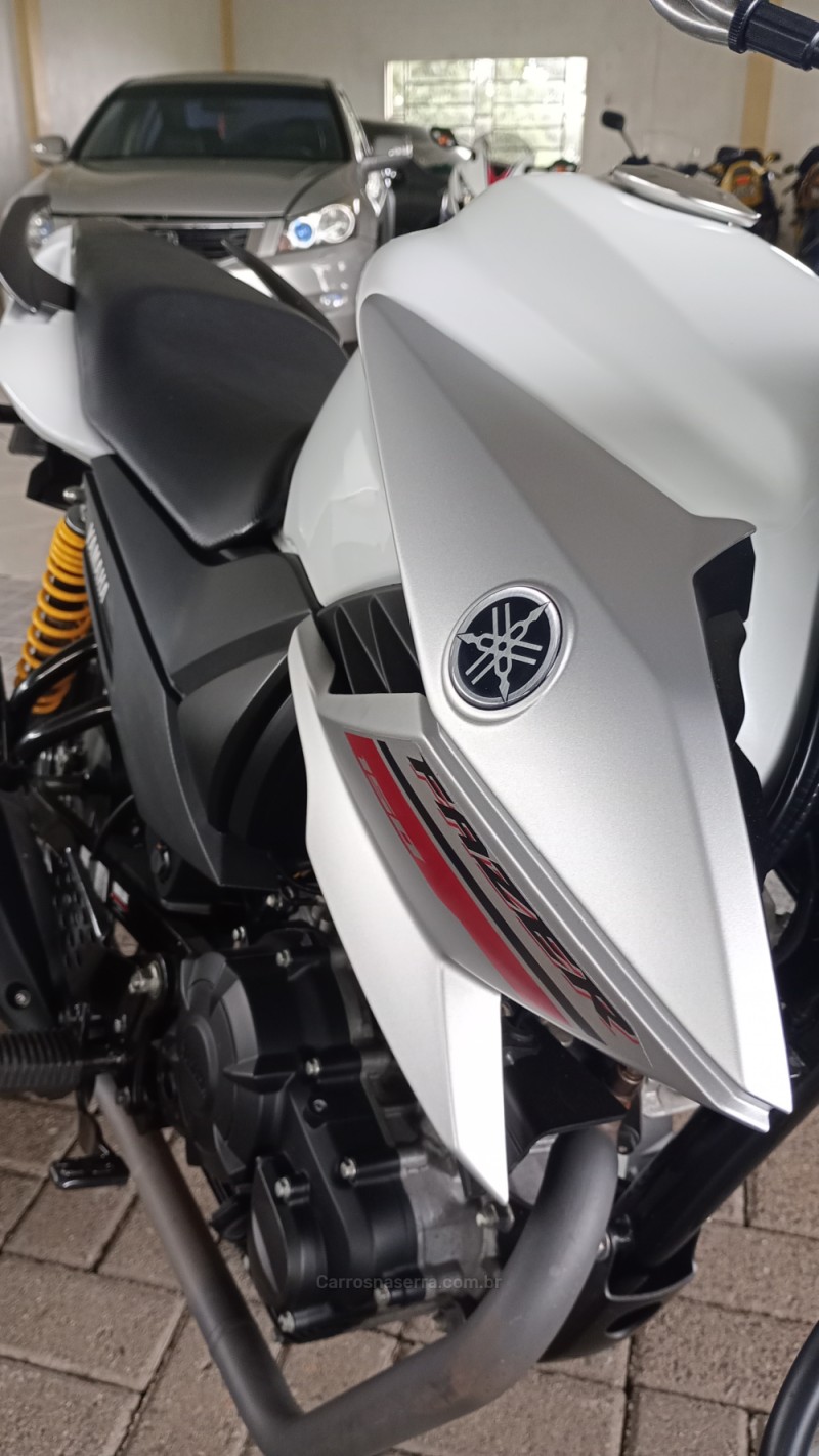 FAZER YS 150 SED - 2019 - CAMPO BOM