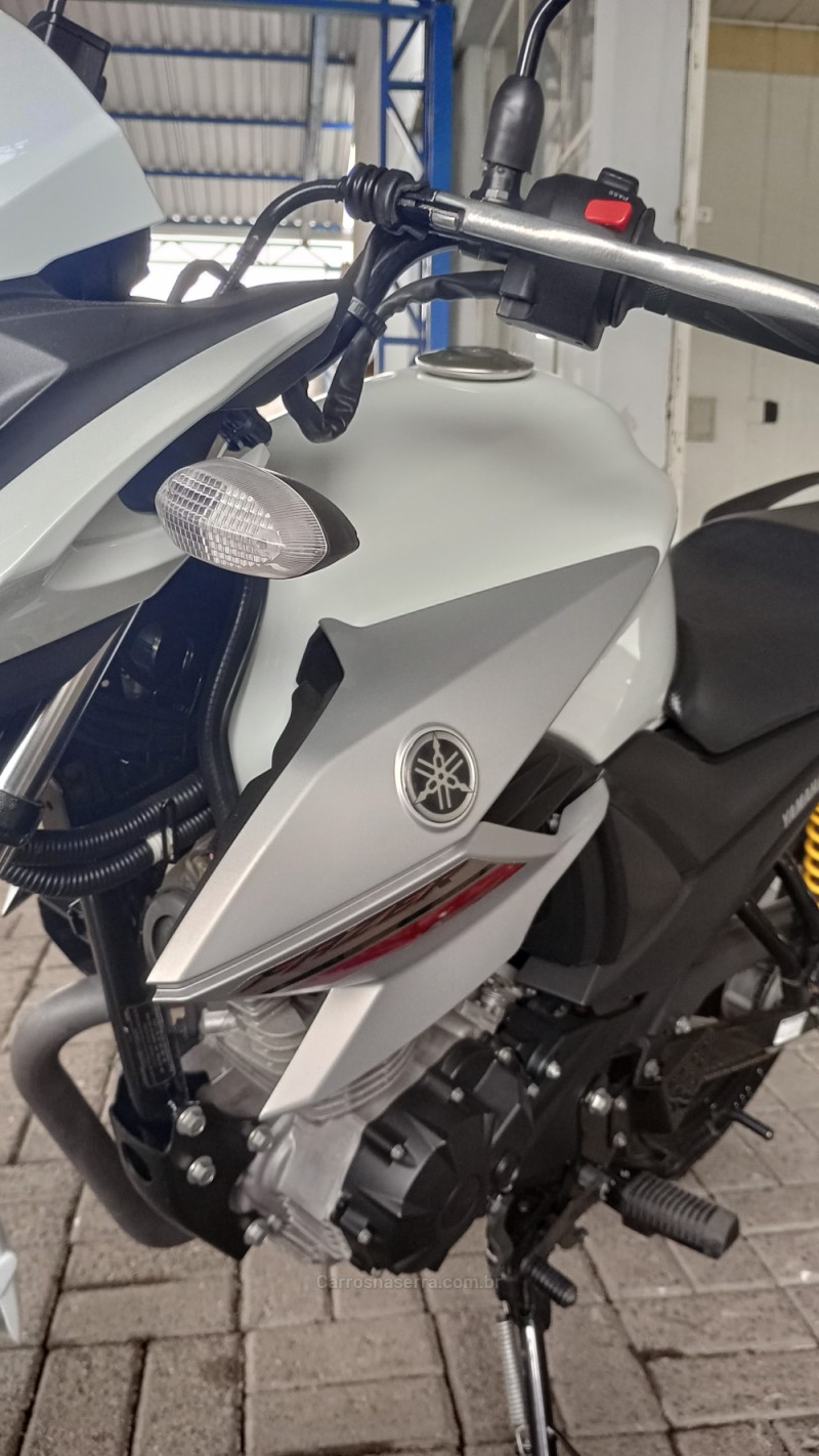 FAZER YS 150 SED - 2019 - CAMPO BOM