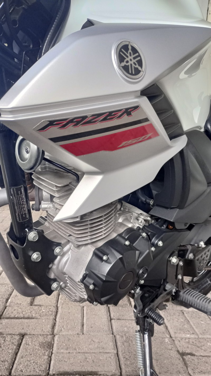 FAZER YS 150 SED - 2019 - CAMPO BOM