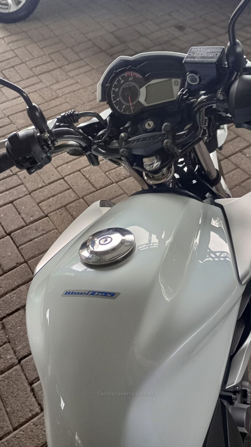 FAZER YS 150 SED - 2019 - CAMPO BOM