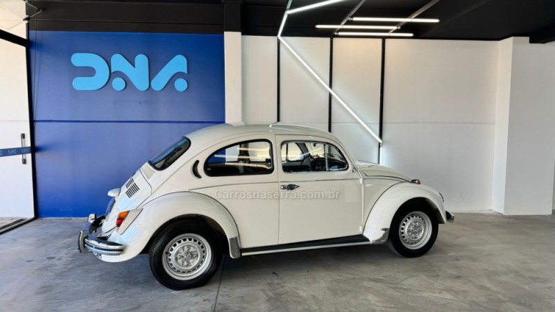 FUSCA 1.3 L 8V GASOLINA 2P MANUAL - 1976 - LAJEADO