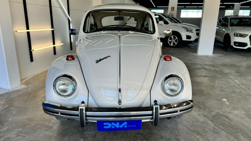 FUSCA 1.3 L 8V GASOLINA 2P MANUAL - 1976 - LAJEADO