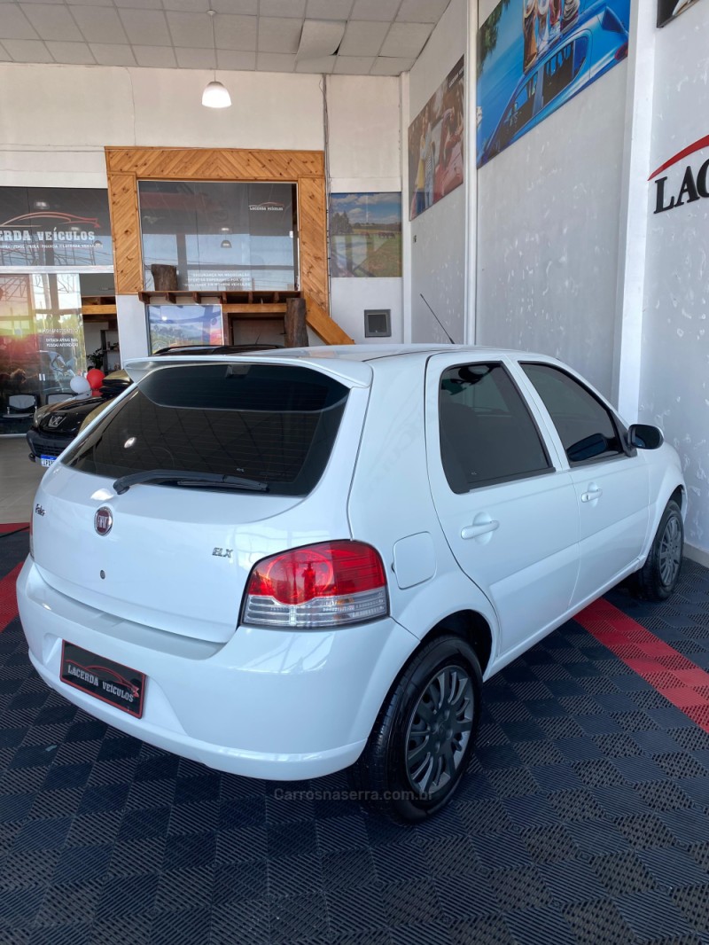 PALIO 1.0 MPI FIRE ELX 8V FLEX 4P MANUAL - 2010 - TAQUARA