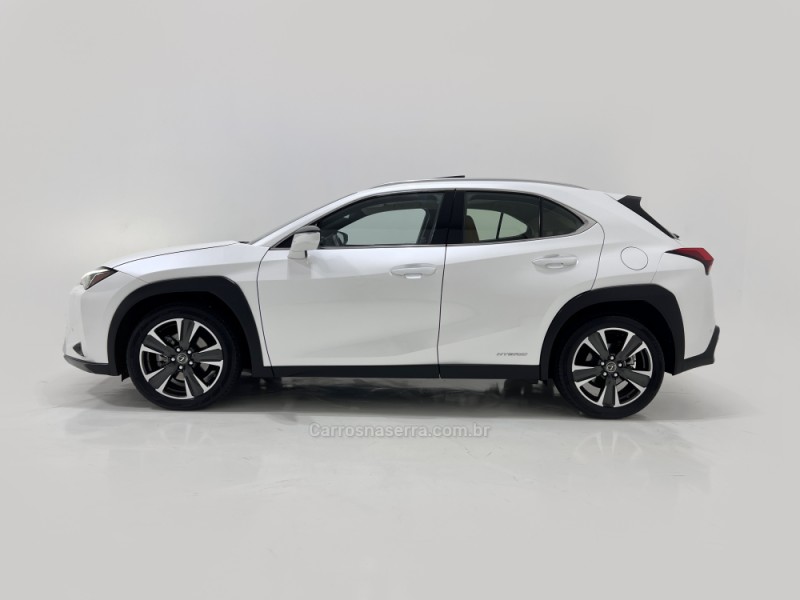 UX 250H 2.0 16V LUXURY HÍBRIDO 4P AUTOMÁTICO - 2019 - BENTO GONçALVES