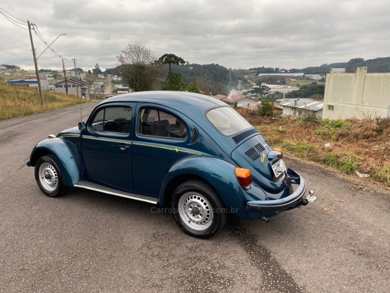 FUSCA 1.6 8V GASOLINA 2P MANUAL - 1995 - FLORES DA CUNHA