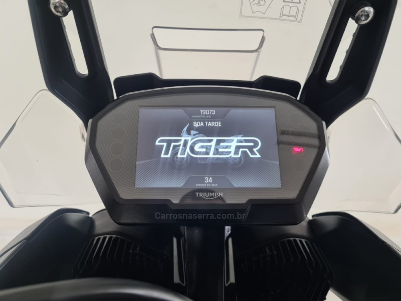 TIGER 900  - 2020 - CAXIAS DO SUL