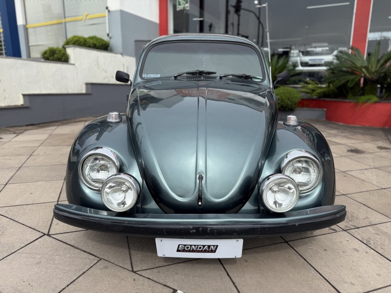 FUSCA 1.6 8V GASOLINA 2P MANUAL - 1994 - FARROUPILHA