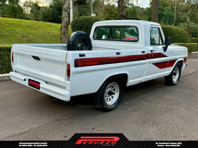 F-1000 3.9 SUPER SÉRIE 4X2 CS 8V TURBO DIESEL 2P MANUAL - 1990 - NOVA PRATA