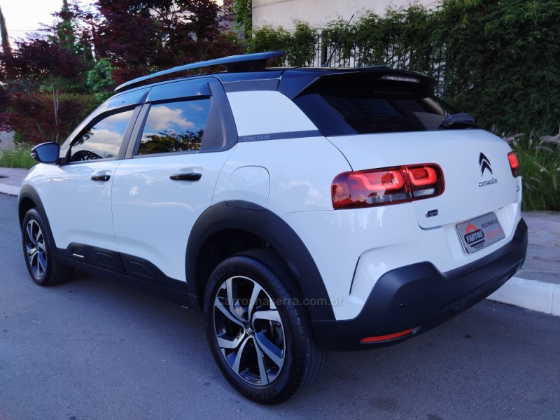 C4 CACTUS 1.6 THP SHINE PACK FLEX 4P AUTOMATICO - 2019 - FARROUPILHA