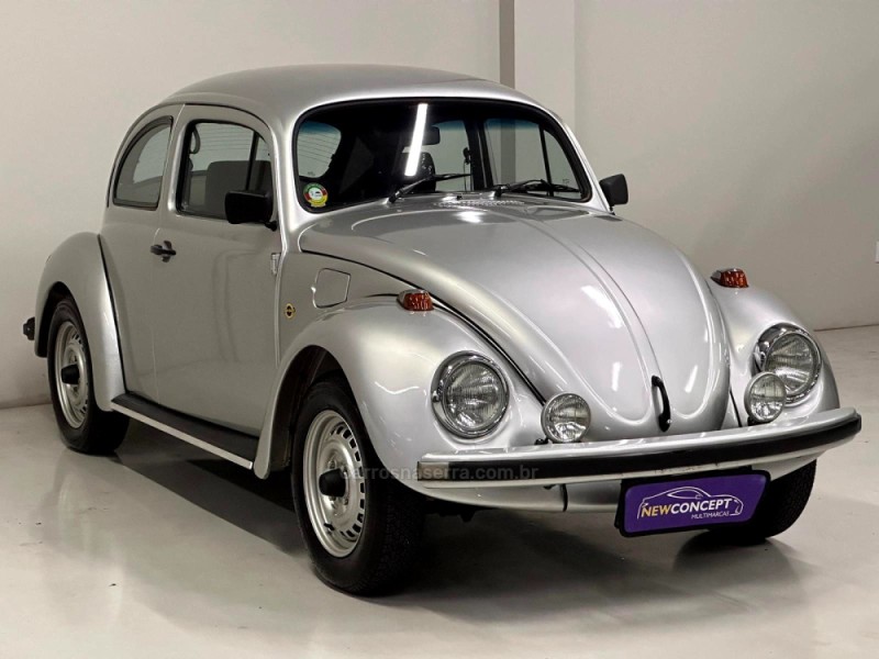 FUSCA 1.6 SÉRIE OURO 8V GASOLINA 2P MANUAL - 1996 - NOVO HAMBURGO