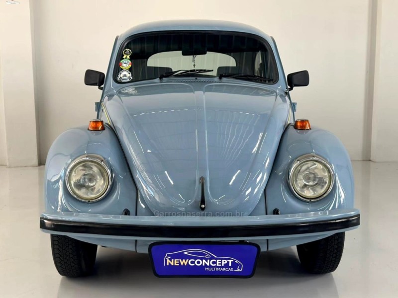 FUSCA 1.6 8V GASOLINA 2P MANUAL - 1994 - NOVO HAMBURGO