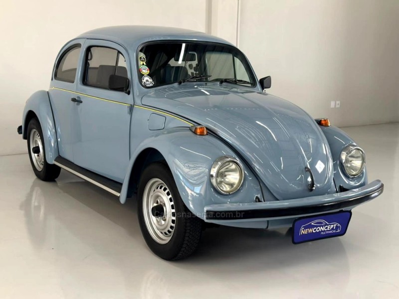 FUSCA 1.6 8V GASOLINA 2P MANUAL - 1994 - NOVO HAMBURGO