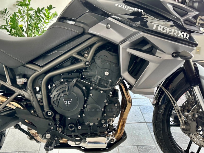 TIGER 800 XR - 2016 - GUAPORé