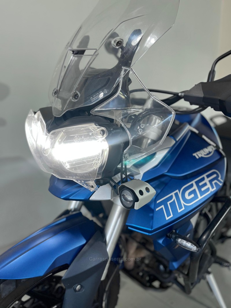 TIGER 800 XRT - 2019 - IVOTI