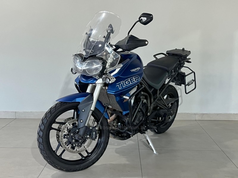 tiger 800 xrt 2019 ivoti