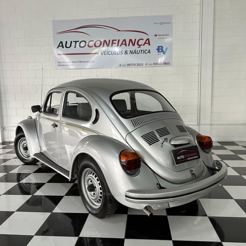 FUSCA 1.6 8V GASOLINA 2P MANUAL - 1994 - MONTENEGRO