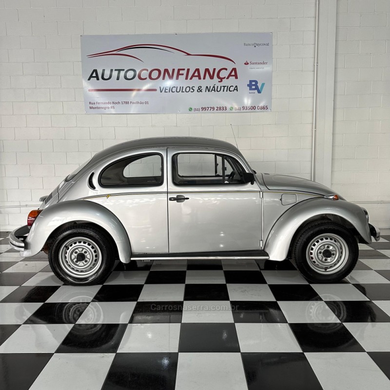 FUSCA 1.6 8V GASOLINA 2P MANUAL - 1994 - MONTENEGRO