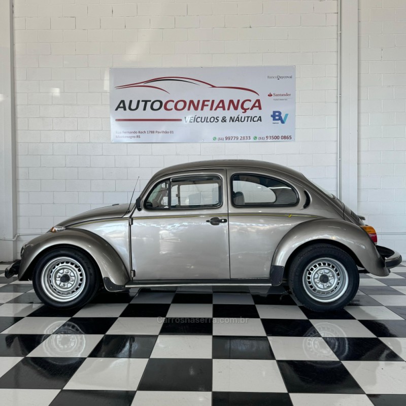 FUSCA 1.6 8V GASOLINA 2P MANUAL - 1994 - MONTENEGRO