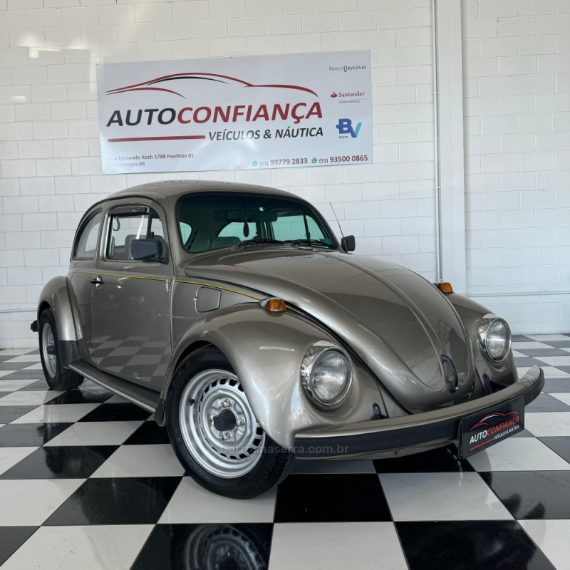 FUSCA 1.6 8V GASOLINA 2P MANUAL - 1994 - MONTENEGRO