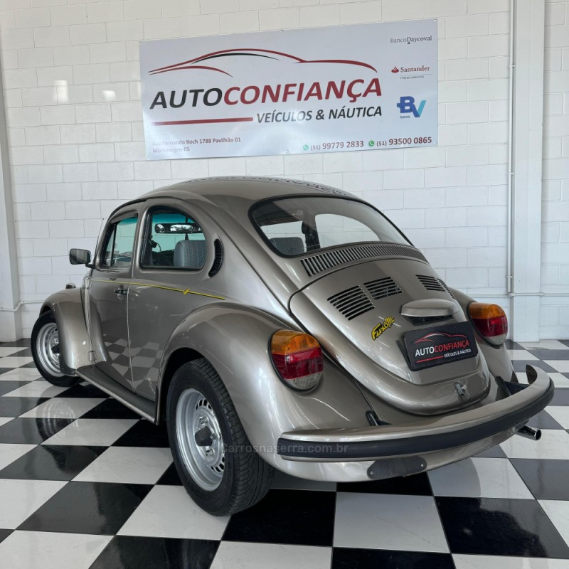 FUSCA 1.6 8V GASOLINA 2P MANUAL - 1994 - MONTENEGRO