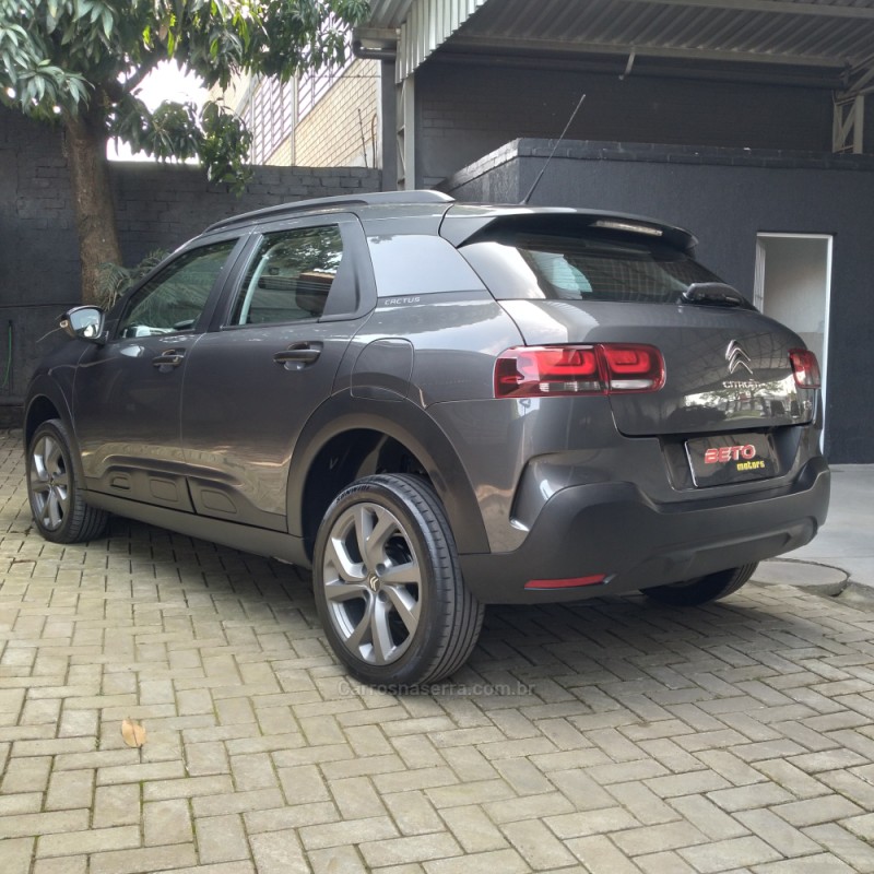 C4 CACTUS 1.6 VTI FEEL FLEX 4P MANUAL - 2019 - NOVO HAMBURGO