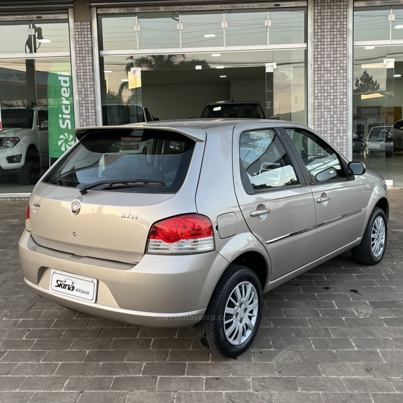 PALIO 1.4 MPI ELX 8V FLEX 4P MANUAL - 2010 - VACARIA