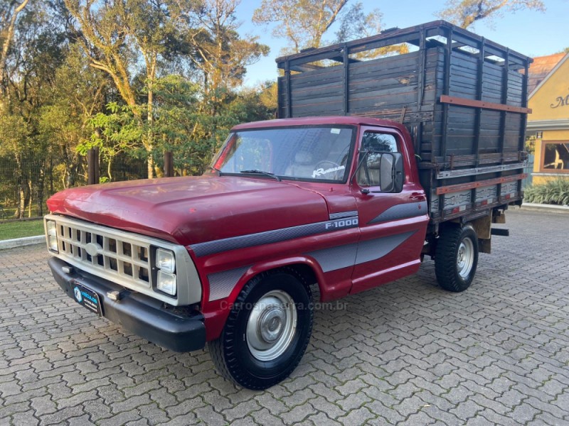 F-1000  - 1984 - CANELA