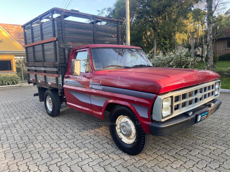 f 1000  1984 canela