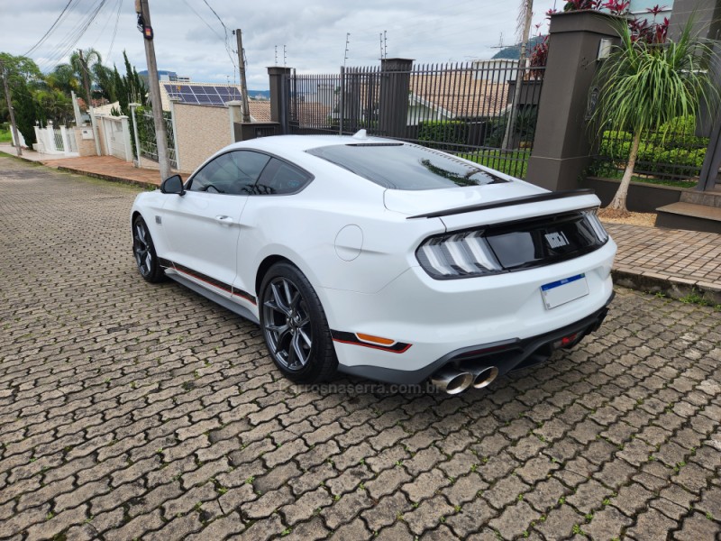 MUSTANG 5.0 MACH 1 V8 32V GASOLINA 2P AUTOMÁTICO - 2021 - MONTENEGRO