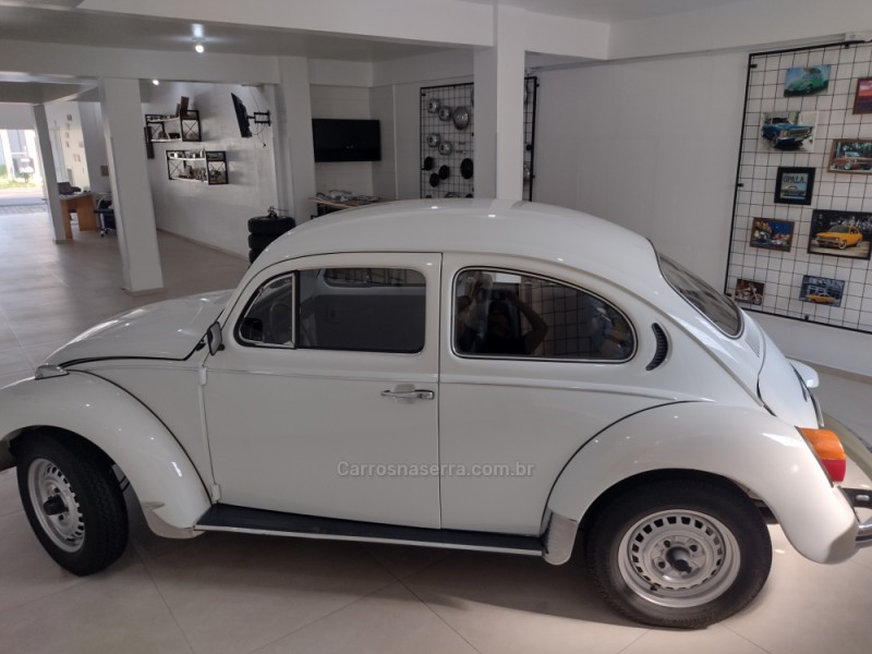 FUSCA 1300 - 1981 - VACARIA