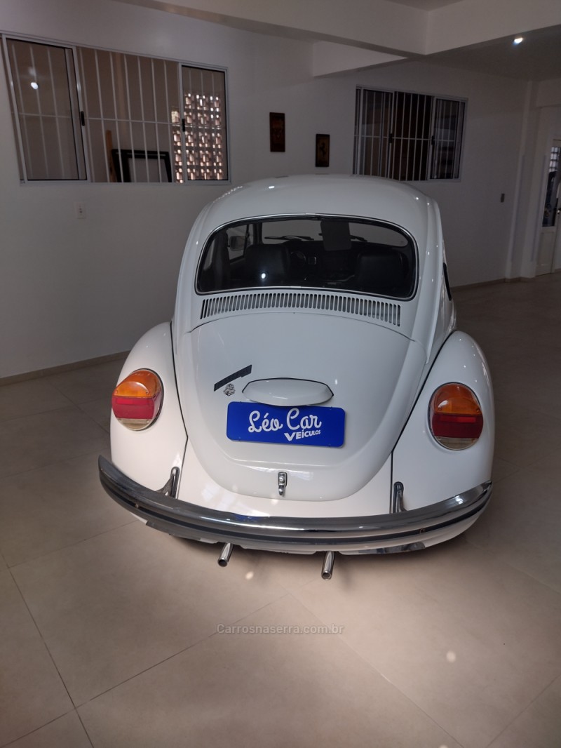 FUSCA 1300 - 1981 - VACARIA