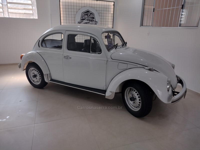 FUSCA 1300 - 1981 - VACARIA