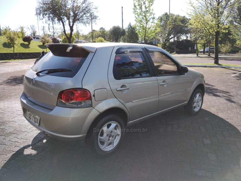 PALIO 1.0 MPI ELX 8V FLEX 4P MANUAL - 2010 - CAXIAS DO SUL