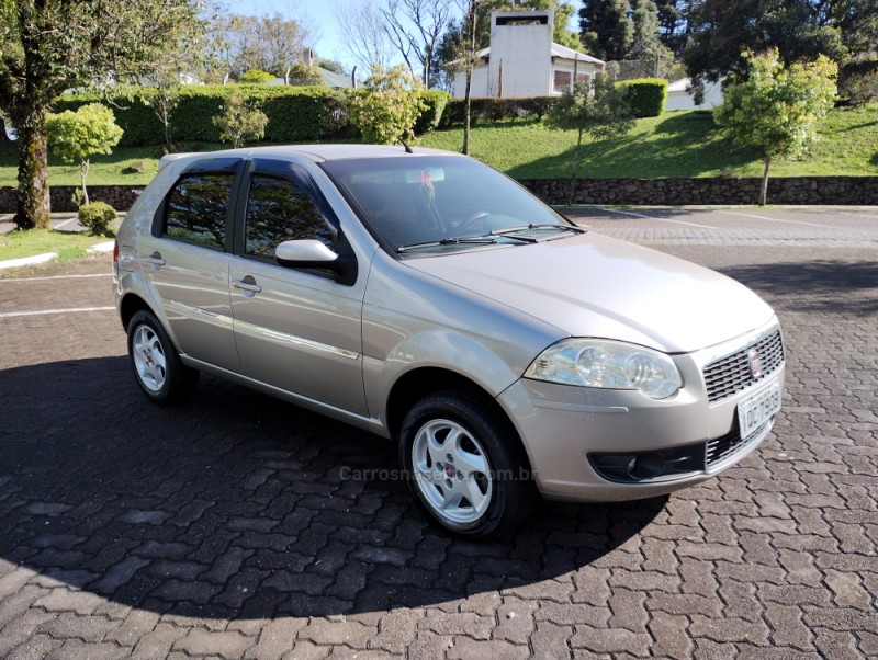 PALIO 1.0 MPI ELX 8V FLEX 4P MANUAL - 2010 - CAXIAS DO SUL