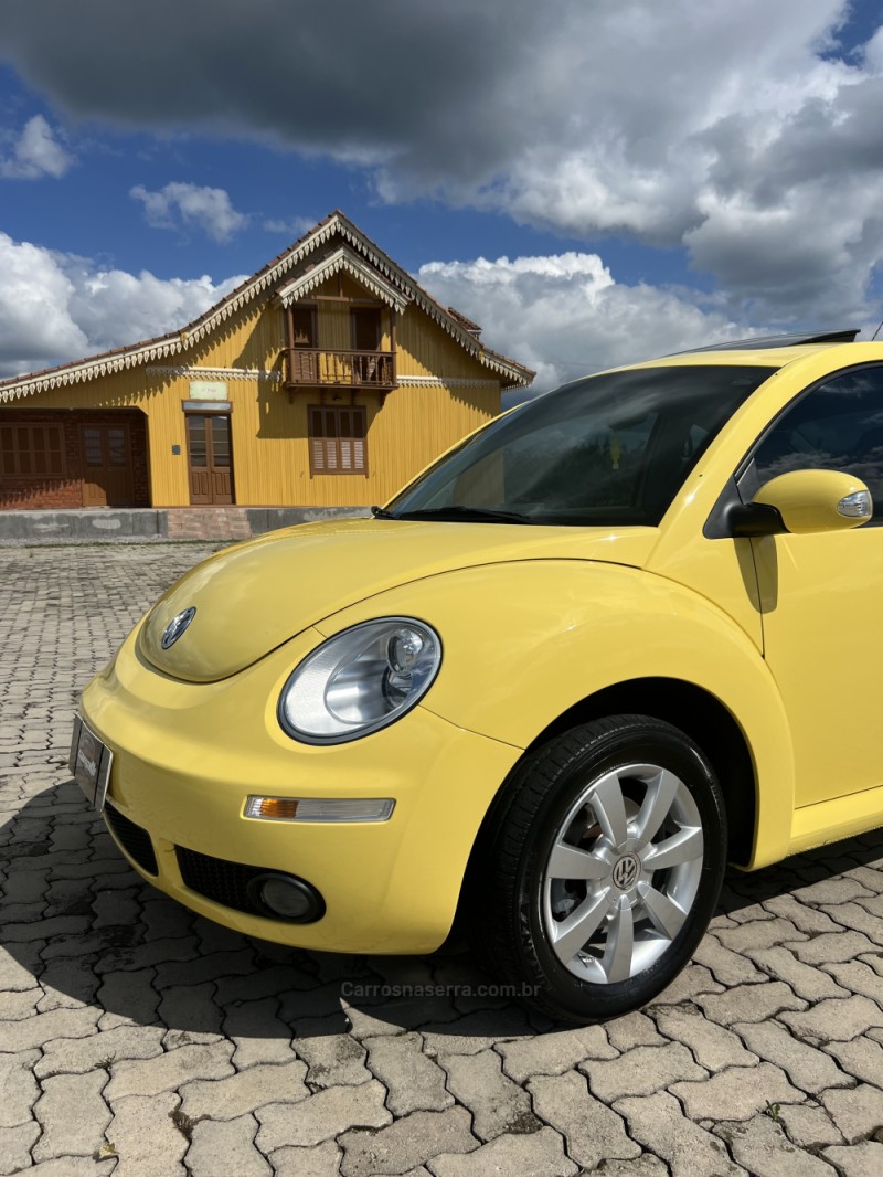 new beetle 2.0 mi 8v gasolina 2p tiptronic 2009 antonio prado