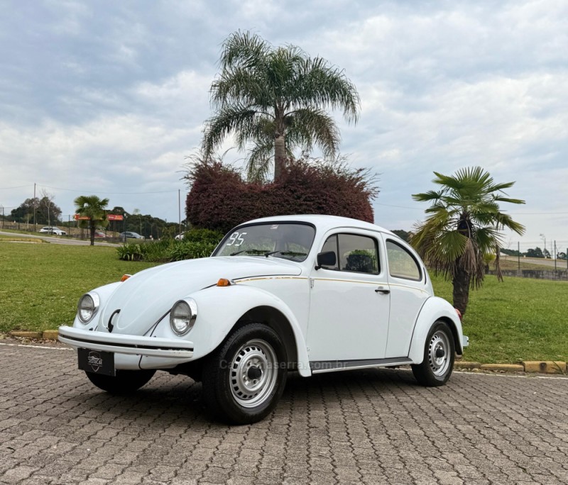 FUSCA 1.6 8V GASOLINA 2P MANUAL - 1995 - CAXIAS DO SUL