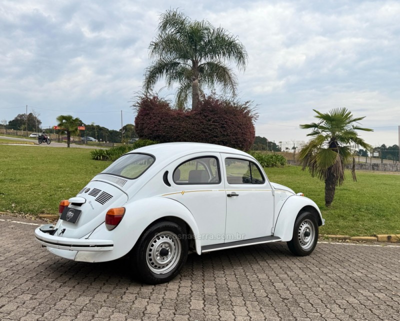 FUSCA 1.6 8V GASOLINA 2P MANUAL - 1995 - CAXIAS DO SUL