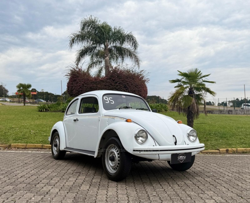 FUSCA 1.6 8V GASOLINA 2P MANUAL - 1995 - CAXIAS DO SUL