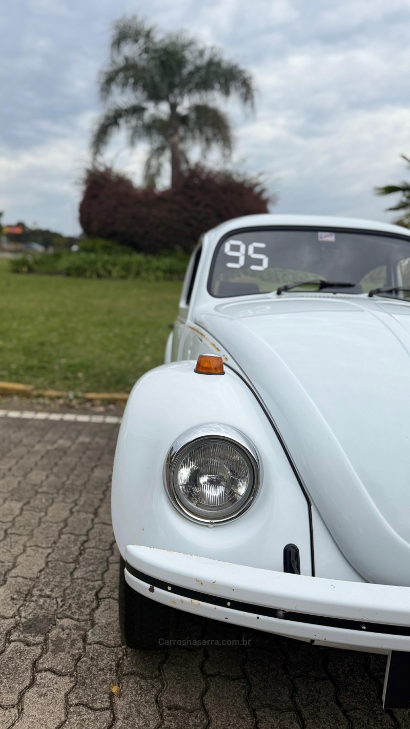 FUSCA 1.6 8V GASOLINA 2P MANUAL - 1995 - CAXIAS DO SUL
