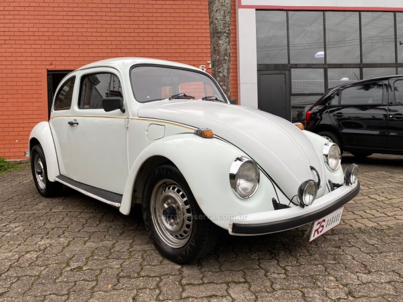 FUSCA 1.6 8V GASOLINA 2P MANUAL - 1995 - NOVO HAMBURGO