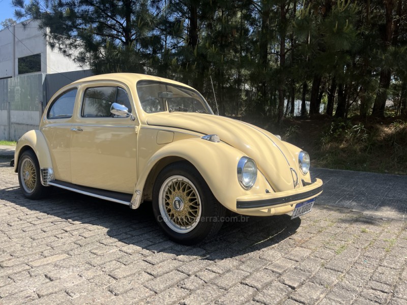 FUSCA 1.3 8V GASOLINA 2P MANUAL - 1980 - CAXIAS DO SUL