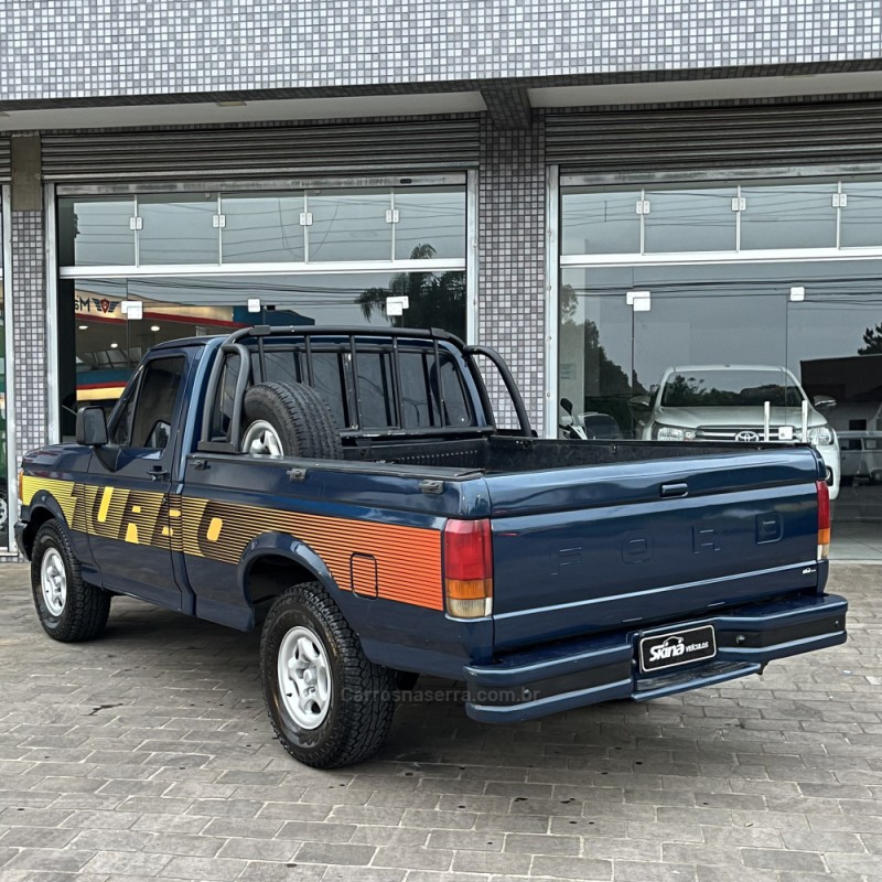 F-1000 3.9 SUPER SÉRIE CS 8V DIESEL 2P MANUAL - 1995 - VACARIA