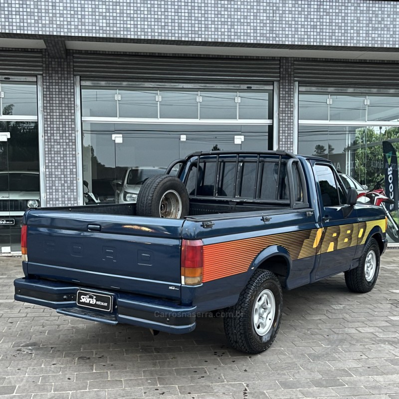 F-1000 3.9 SUPER SÉRIE CS 8V DIESEL 2P MANUAL - 1995 - VACARIA