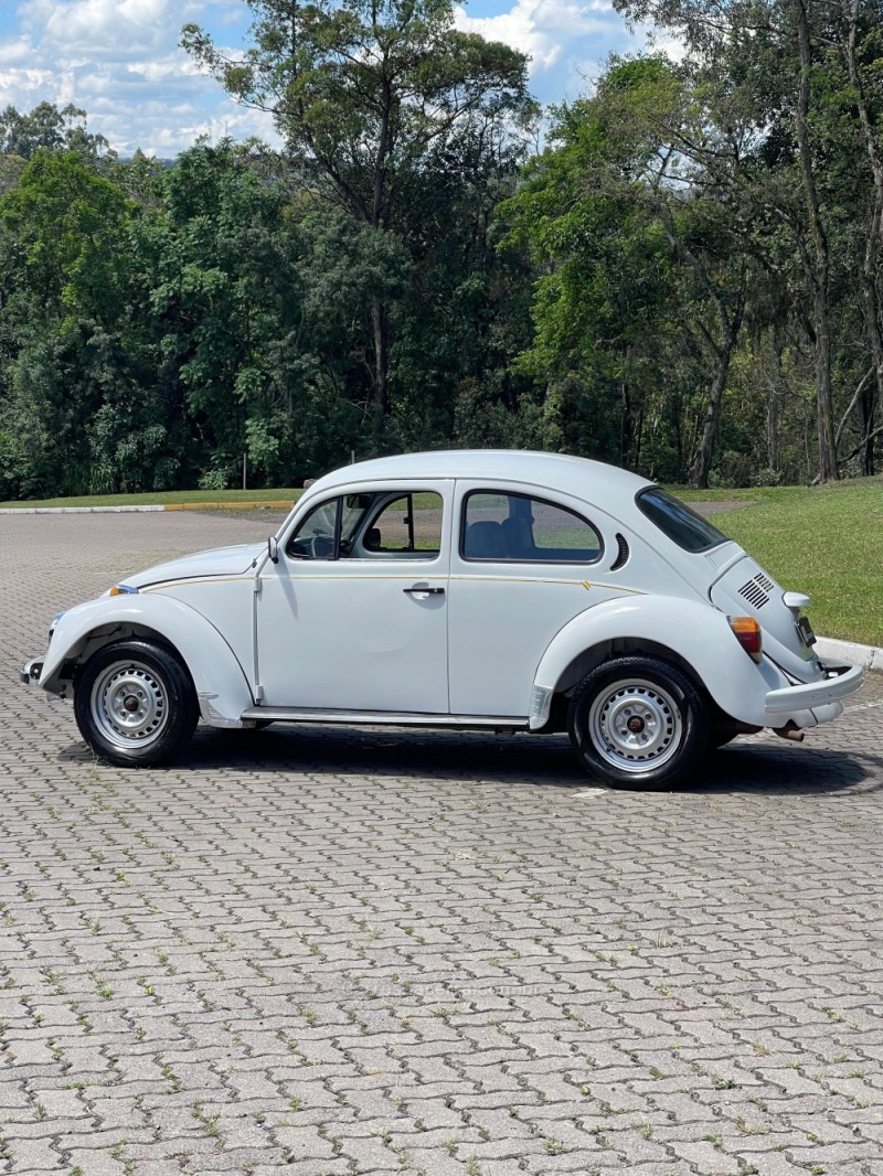 FUSCA 1.6 8V GASOLINA 2P MANUAL - 1996 - NOVA PETRóPOLIS